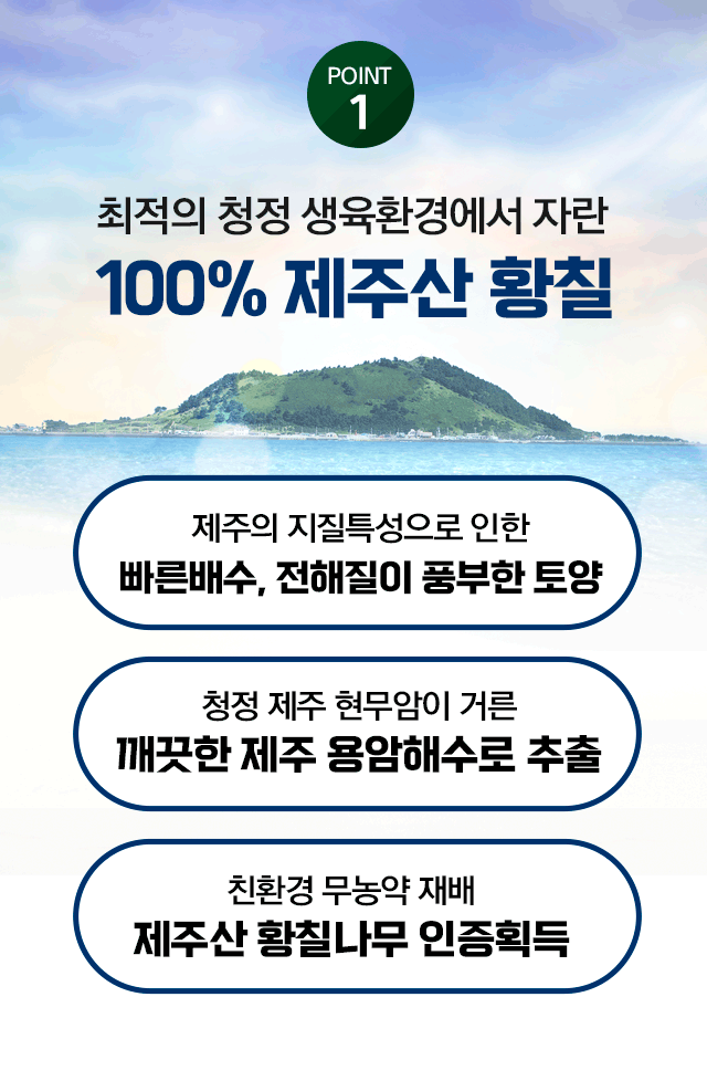 광동 녹황당 황칠진액