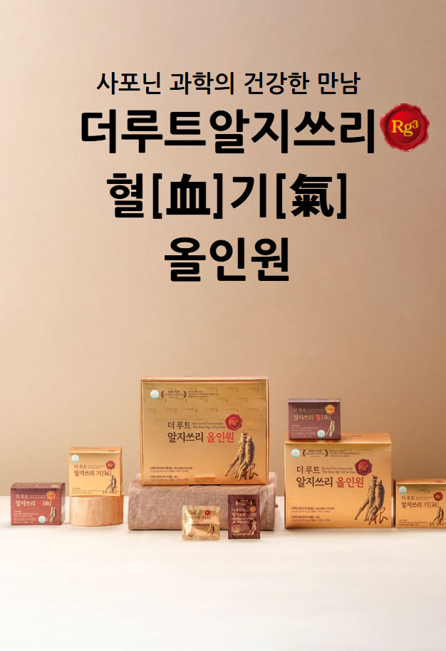 더루트알지쓰리 가격