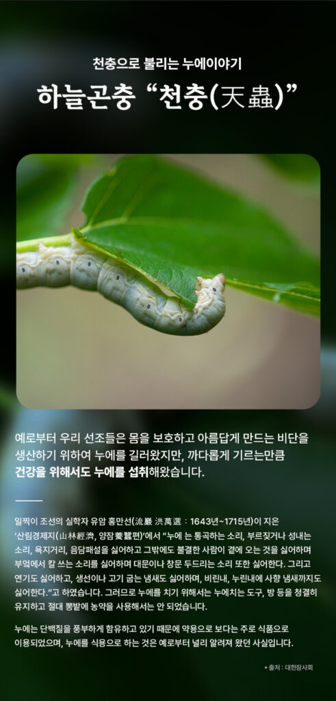 천수복 홍잠 가격