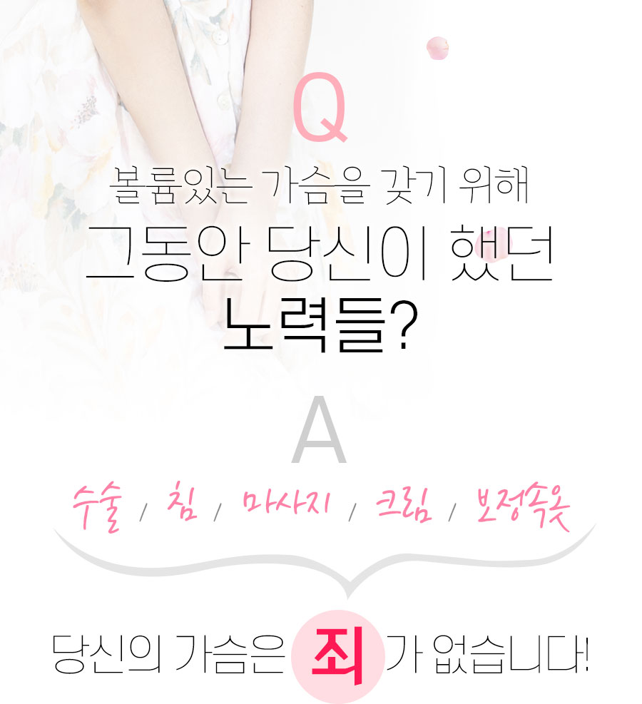 바스트핏솔루션 가격