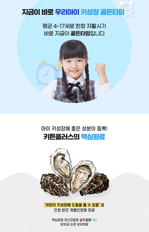 키튼플러스 후기