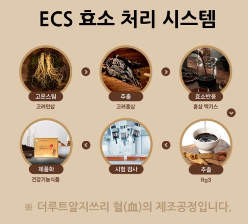 더루트알지쓰리가격은